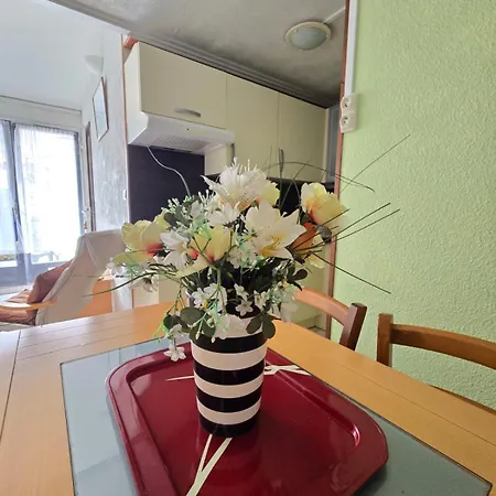 Maison De Vacance Avec Piscine Et Place De Parking Tatil Evi *